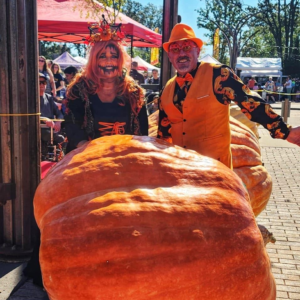 1111 Engel 2024 (2) Seeds