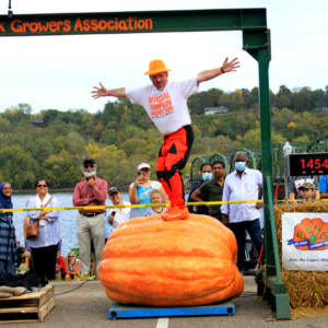 1454 Engel 2021 (1) Seed