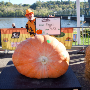 838 Engel 2025 (2) Seeds