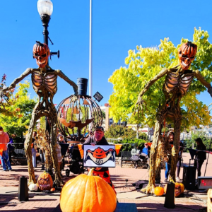 507 Engel 2024 (2) Seeds