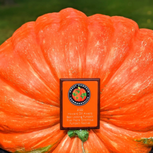 636 Engel 2022 (2) Seeds