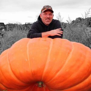 840 Engel 2022 (2) Seeds