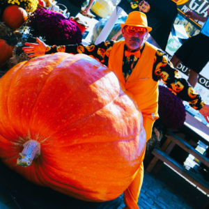 855 Engel 2025 (2) Seeds