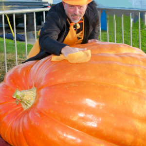 1170 Engel 2023 (2) Seeds