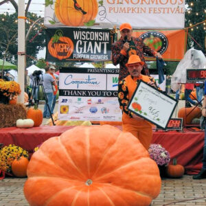 966 Engel 2023 (2) Seeds